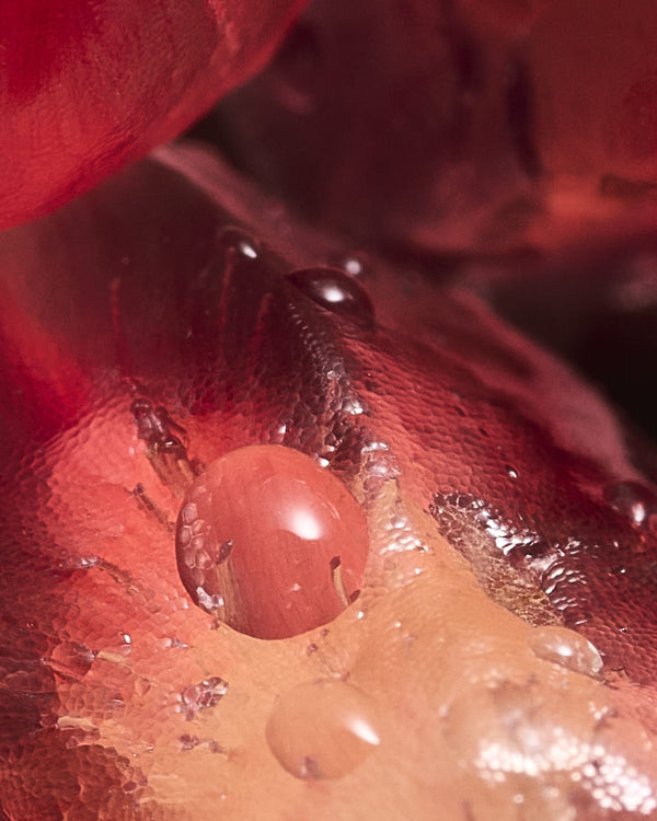 Huile de pépins de grenade